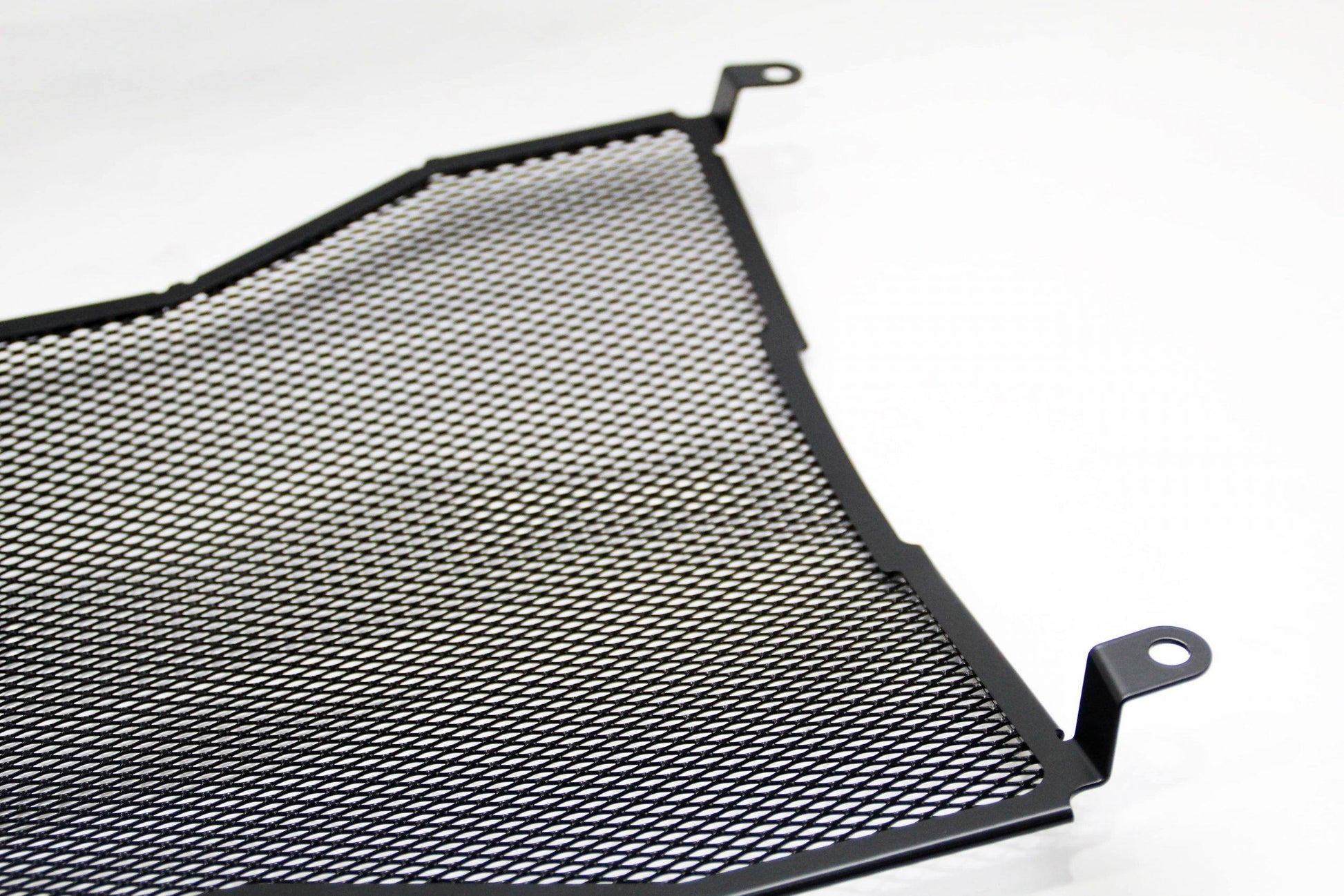 R&G Radiator Guard fits for BMW S1000R ('17-) Models - Durian Bikers